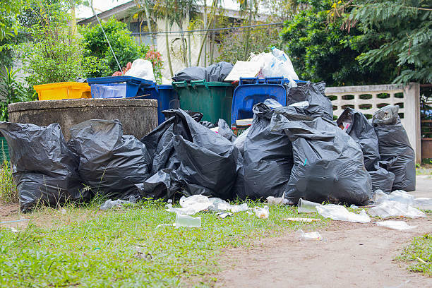 Trash Removal Near Me in Rector, AR